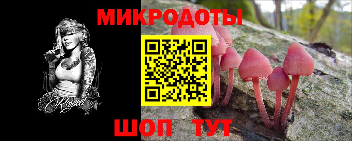 Псилоцибиновые грибы Cubensis Кропоткин